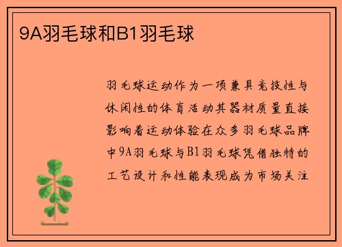 9A羽毛球和B1羽毛球