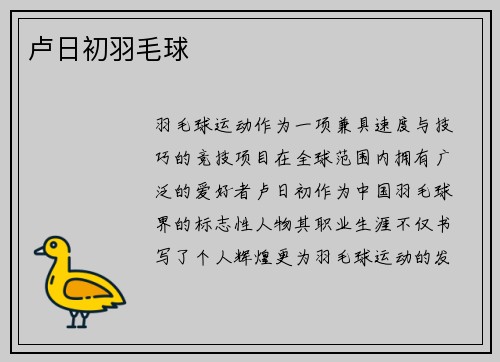 卢日初羽毛球