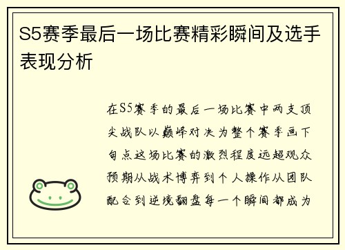 S5赛季最后一场比赛精彩瞬间及选手表现分析