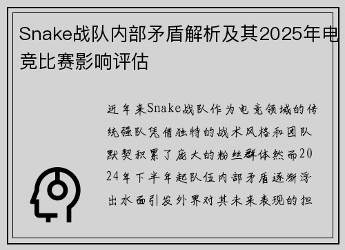 Snake战队内部矛盾解析及其2025年电竞比赛影响评估